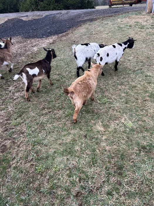 Getaway Ranch and Campsites Picture 10