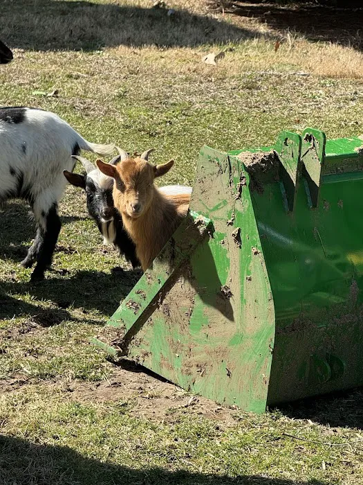 Getaway Ranch and Campsites Picture 3