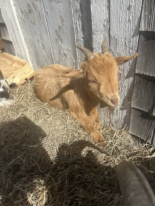 Getaway Ranch and Campsites Picture 5