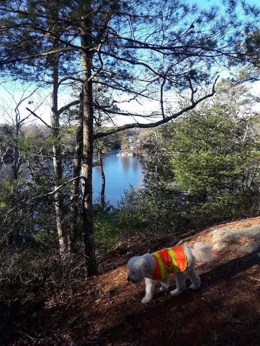 Campsite Donald Dewing Picture 6