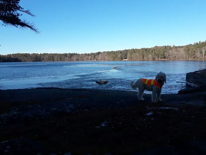 Campsite Donald Dewing Picture 4