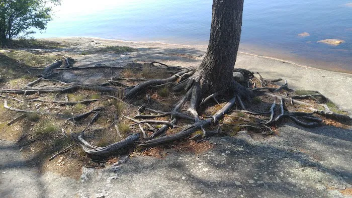 Campsite Donald Dewing Picture 5