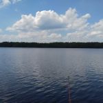 Campsite Donald Dewing