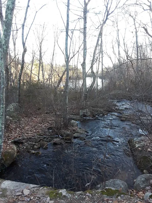 Campsite Donald Dewing Picture 3