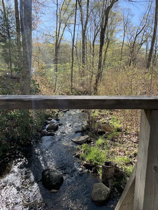 Green Falls Campground Picture 3