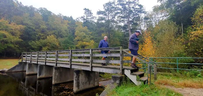 Green Falls Campground Picture 8