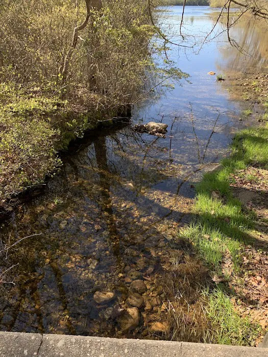 Green Falls Campground Picture 4