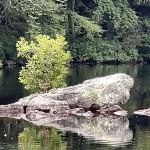 Green Fall Pond Campground