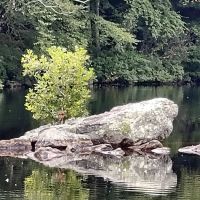 Green Fall Pond Campground ico