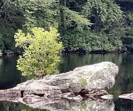 Green Fall Pond Campground