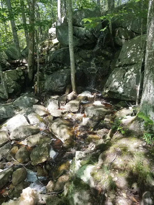 Peg Mill Shelter Picture 7