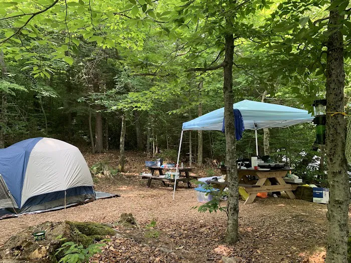 Indian Lake Islands Campground - Campsite #48 Picture 3