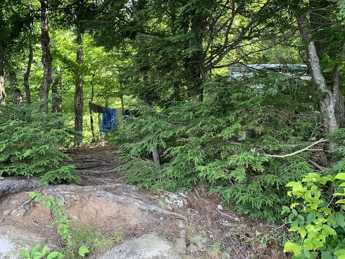 Indian Lake Islands Campground - Campsite #48 Picture 6