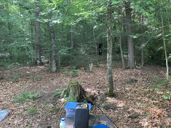 Indian Lake Islands Campground - Campsite #48 Picture 10