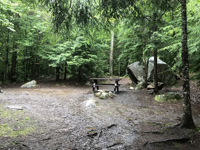 Indian Lake Islands Campground - Campsite #47 Picture 7