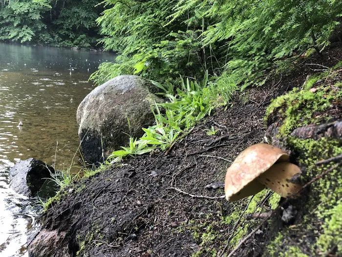 Indian Lake Islands Campground - Campsite #47 Picture 6