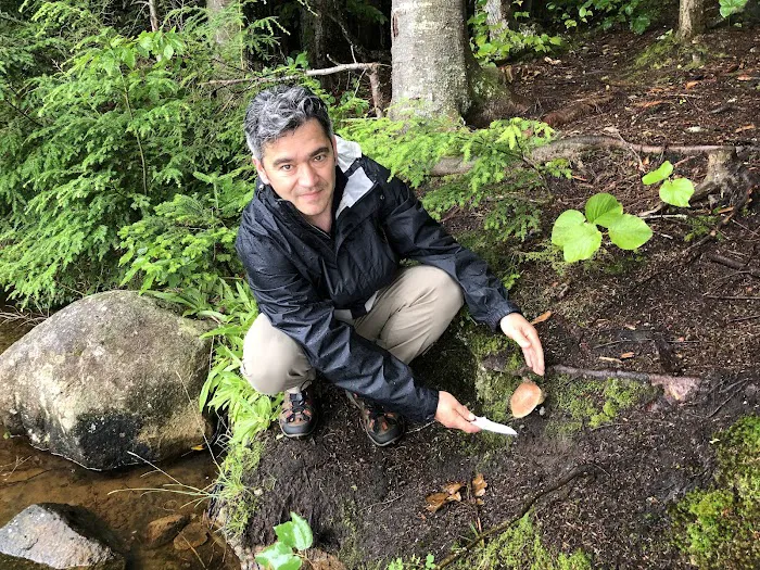 Indian Lake Islands Campground - Campsite #47 Picture 8