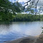 Indian Lake Islands Campground - Campsite #42