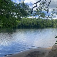 Indian Lake Islands Campground - Campsite #42 ico