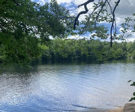 Indian Lake Islands Campground - Campsite #42