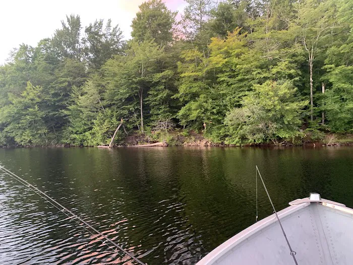 Indian Lake Islands Campground - Campsite #42 Picture 4