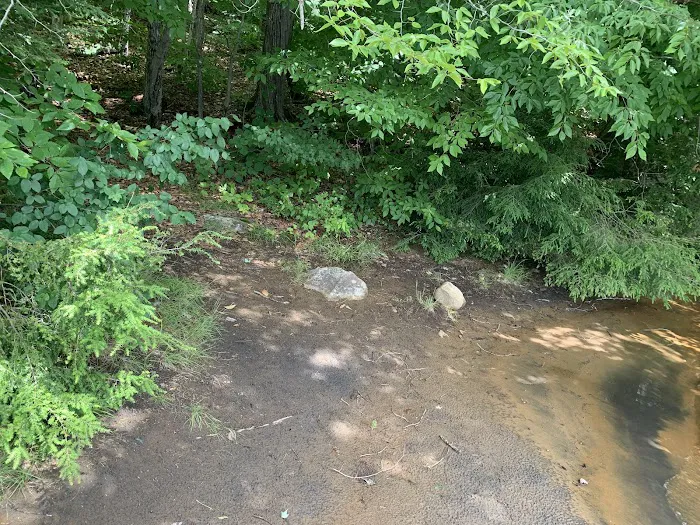 Indian Lake Islands Campground - Campsite #42 Picture 8