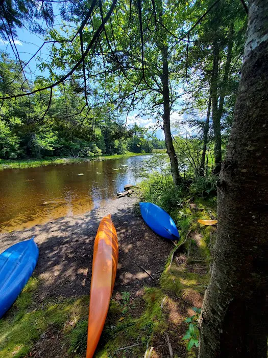 Lewey Lake Campsite Picture 8