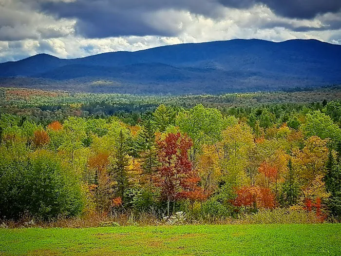 Indian Lake Islands Campground - Main Office/Ranger Station/Boat Ramp Picture 10