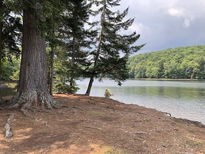 Indian Lake Islands Campground - Campsite # 31 Picture 7