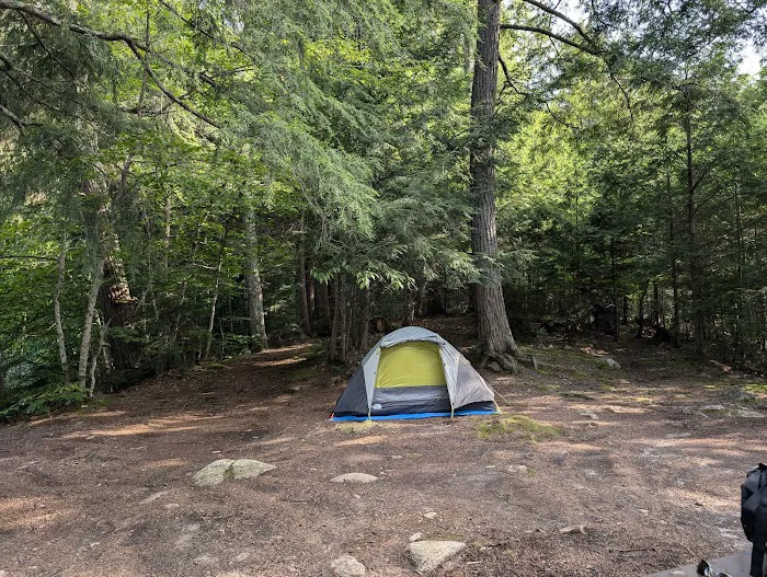Indian Lake Islands Campground - Campsite #41 Picture 3