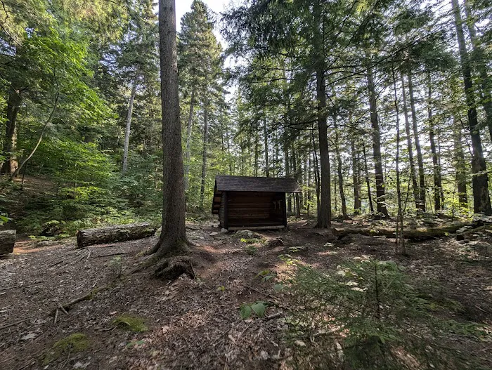 Indian Lake Islands Campground - Campsite #41 Picture 4