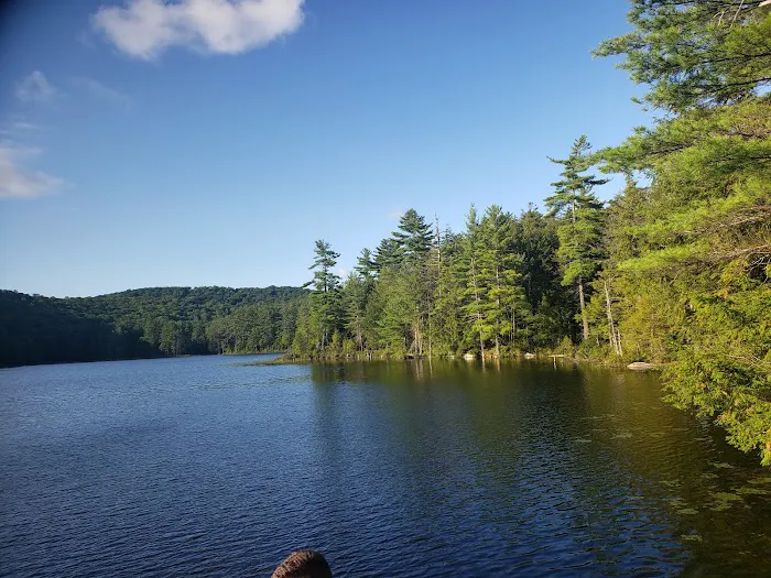 Dippikill Wilderness Retreat Picture 3