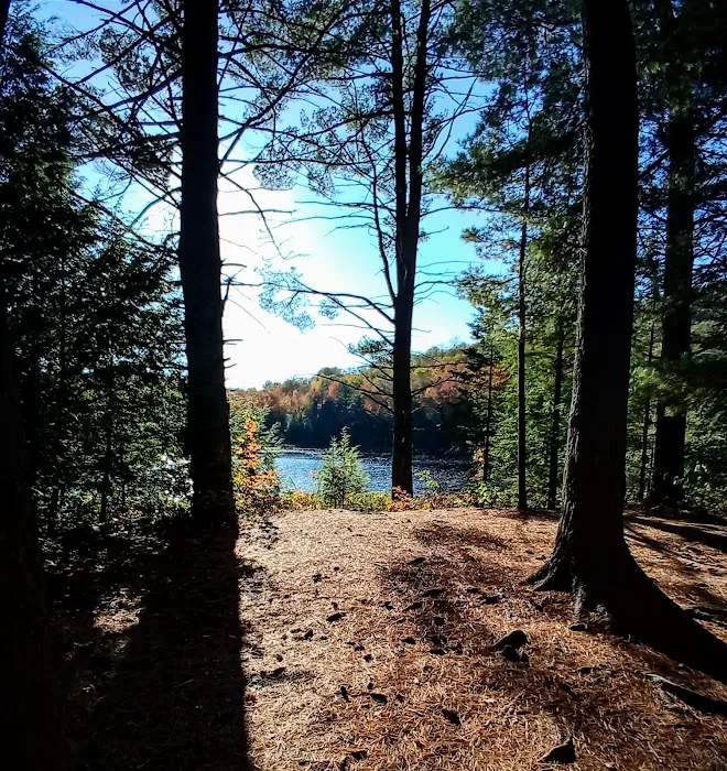 Dippikill Wilderness Retreat Picture 2