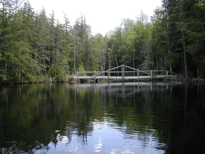 Dippikill Wilderness Retreat Picture 8