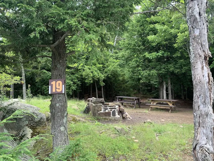 Indian Lake Islands Campground - Campsite #19 Picture 7