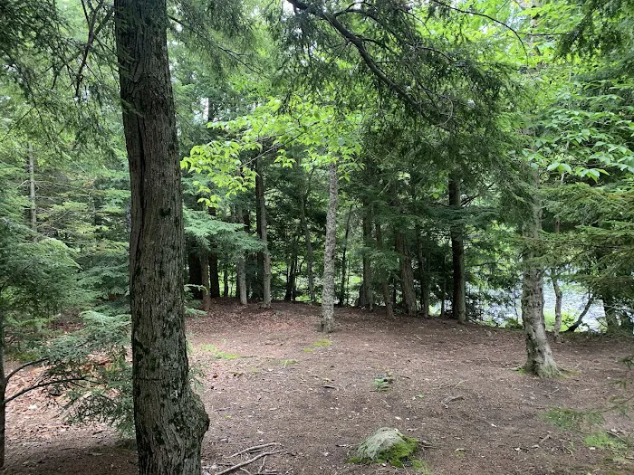 Indian Lake Islands Campground - Campsite #19 Picture 8