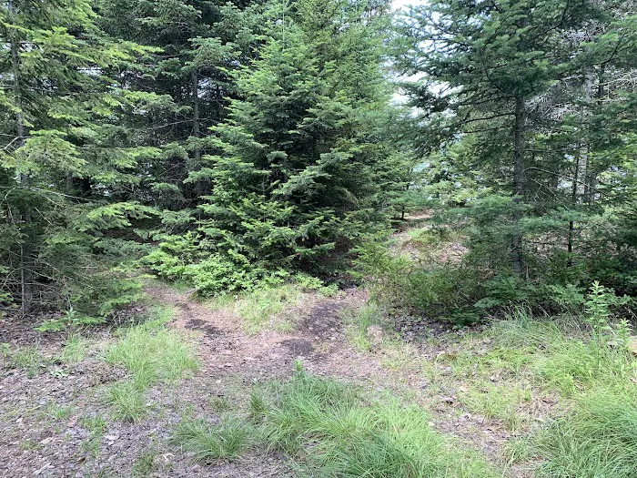 Indian Lake Islands Campground - Campsite #20 Picture 10