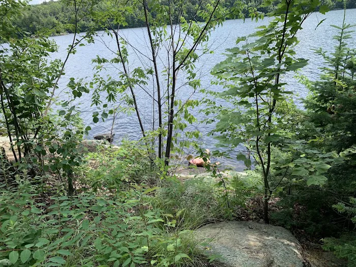 Indian Lake Islands Campground - Campsite #20 Picture 4