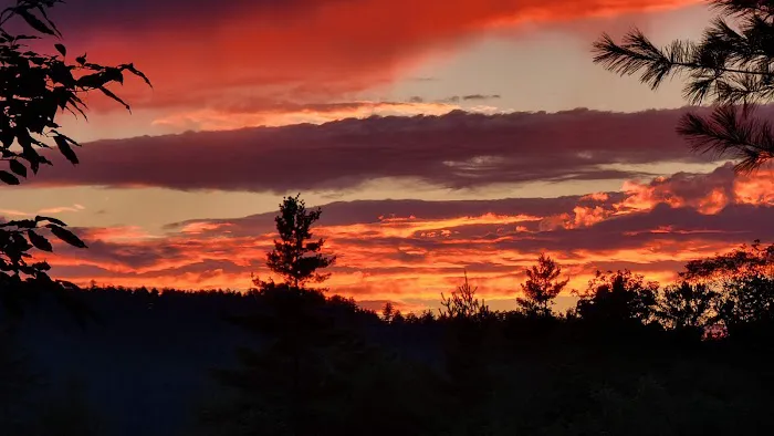 Queen Village Camp Ground Picture 2