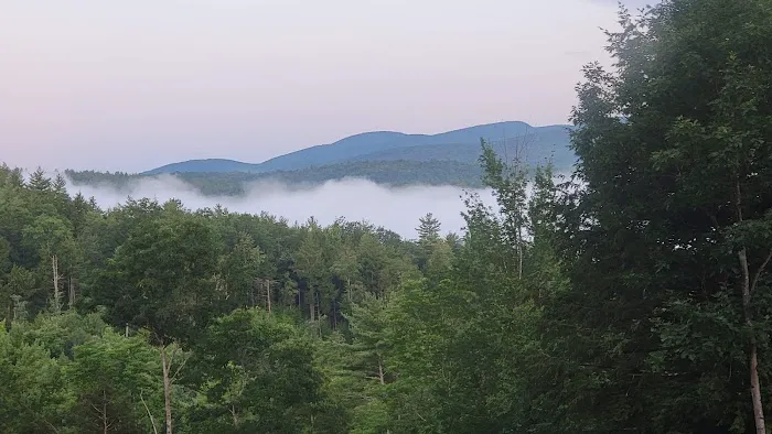 Queen Village Camp Ground Picture 10