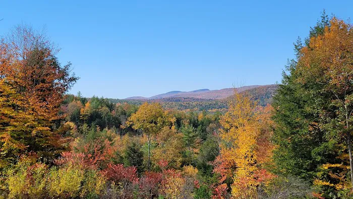 Queen Village Camp Ground Picture 4