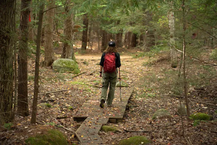 Daggett Lake Cabins & Campsites Picture 2