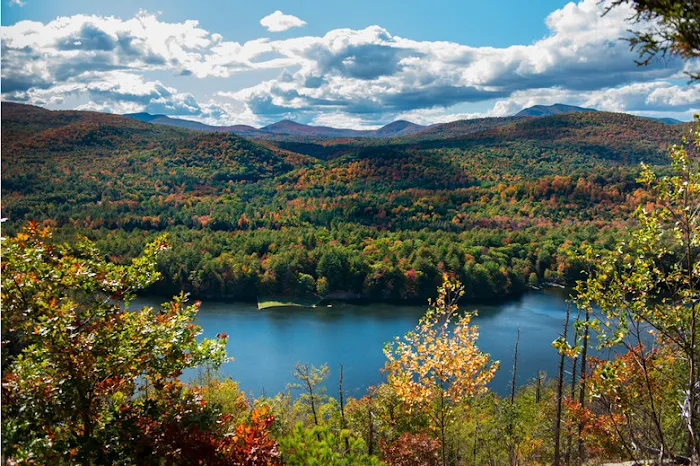 Daggett Lake Cabins & Campsites Picture 10