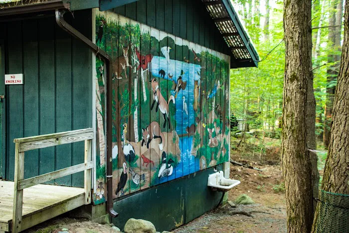 Daggett Lake Cabins & Campsites Picture 4