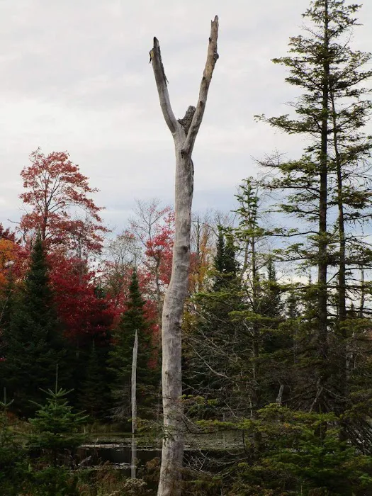 Camp Mudonme Picture 4