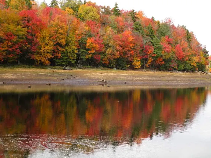 Camp Mudonme Picture 6