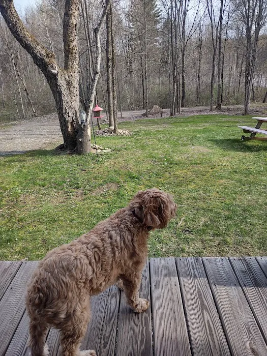 Long Springs Lodge Picture 1