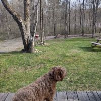 Long Springs Lodge ico