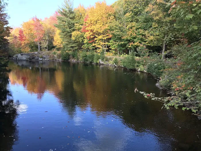 Soft Maple Campground Picture 3