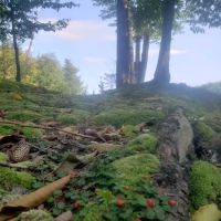 Soft Maple Campground ico